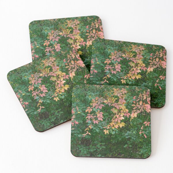Item preview, The Beginning of Autumn Colour Changes designed and sold by Gerda Grice Photography.