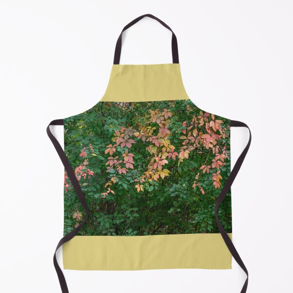 Item preview, The Beginning of Autumn Colour Changes designed and sold by Gerda Grice Photography.