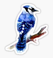 Geai bleu aquarelle Sticker