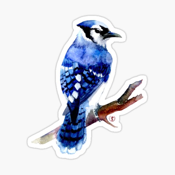 Watercolor Feather Stickers Redbubble