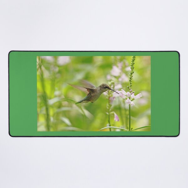 Item preview, Hummer And Obedient Plant designed and sold by Debbie Oppermann.