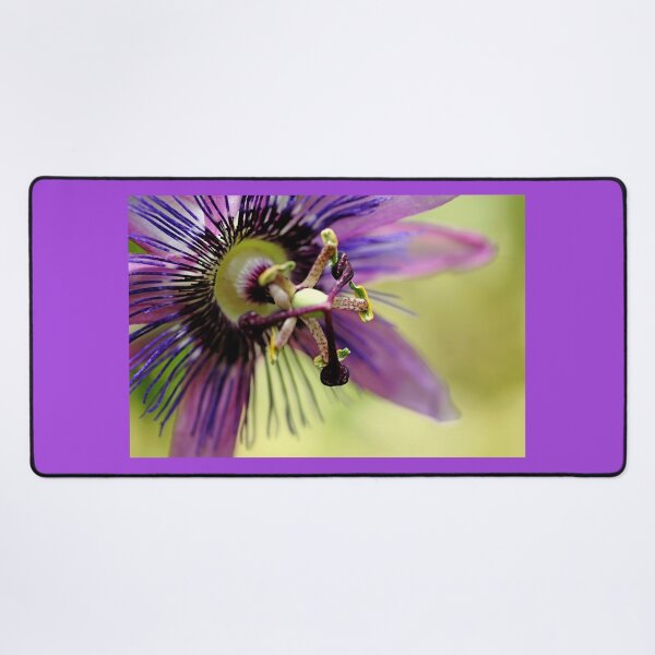 Item preview, Purple Passion Flower designed and sold by Debbie Oppermann.