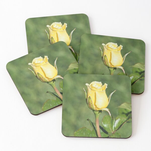 Aperçu de l'œuvre Une rose jaune créée et vendue par happynaturalist.