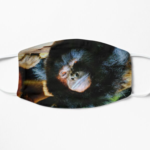 Male Black Howler Monkey (Alouatta caraya) Mask for Sale by Yair