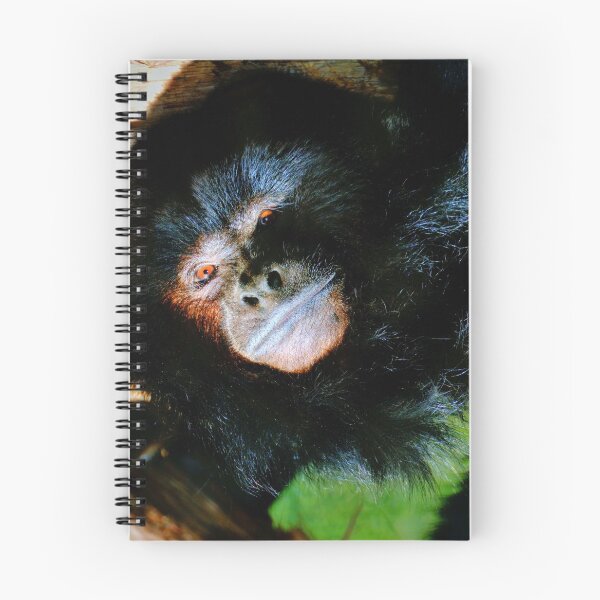 Item preview, Black Howler Monkey designed and sold by Savannah Gibbs.