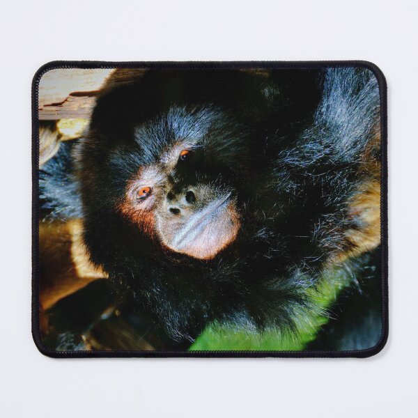 Item preview, Black Howler Monkey designed and sold by Savannah Gibbs.