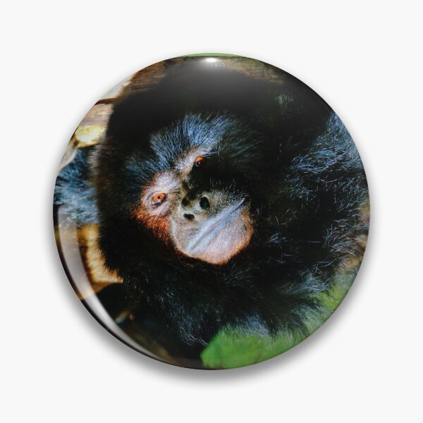 Item preview, Black Howler Monkey designed and sold by Savannah Gibbs.