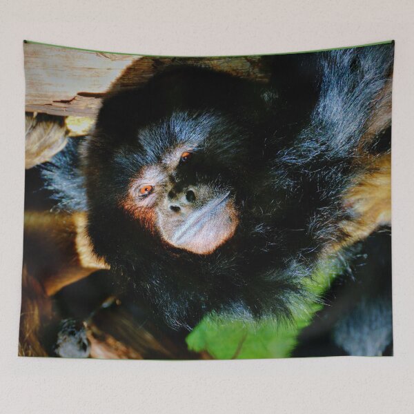 Item preview, Black Howler Monkey designed and sold by Savannah Gibbs.