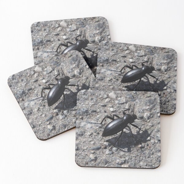 Item preview, Black Beetle designed and sold by happynaturalist.