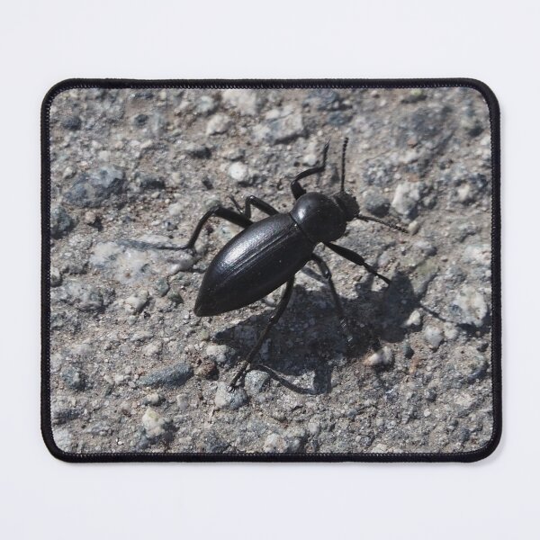 Item preview, Black Beetle designed and sold by happynaturalist.