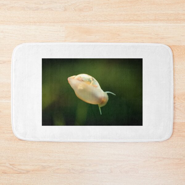 Item preview, Physidae snail, bladder snails, family of air breathing freshwater snails, aquatic pulmonate gastropod molluscs. Aquascaping Animal macro close up photography with a focus gradient, soft background. designed and sold by Marcin Adrian.
