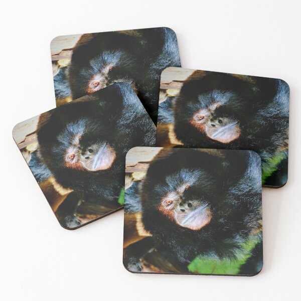Item preview, Black Howler Monkey designed and sold by Savannah Gibbs.
