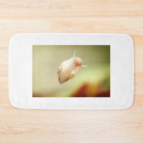 Item preview, Physidae snail, bladder snails, family of air breathing freshwater snails, aquatic pulmonate gastropod molluscs. Aquascaping Animal macro close up photography with a focus gradient, soft background. designed and sold by Marcin Adrian.