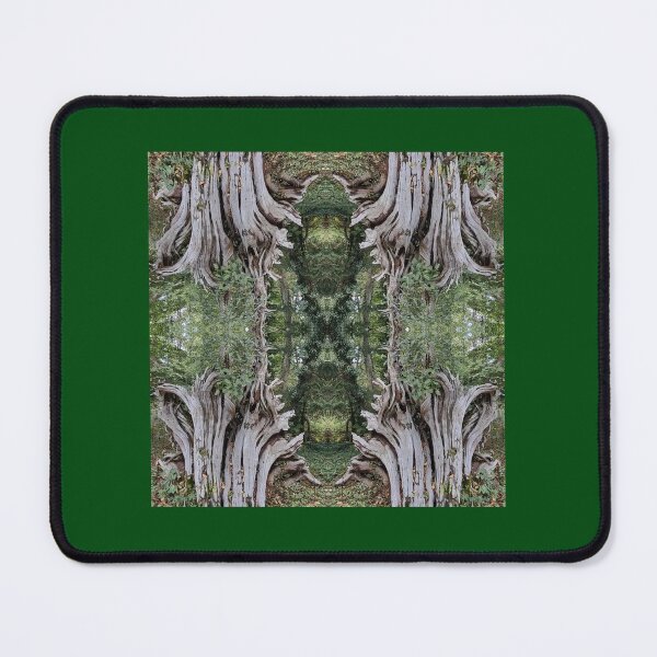Item preview, Land of fantasy designed and sold by RachysPlace.
