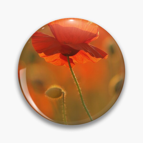 Aperçu de l'œuvre Photographie numérique de Poppy créée et vendue par SimonJohnson1.