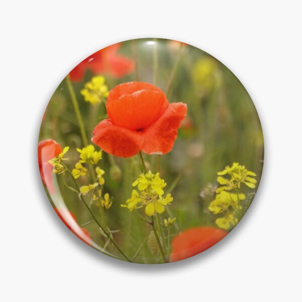 Aperçu de l'œuvre Photographie numérique de coquelicots créée et vendue par SimonJohnson1.