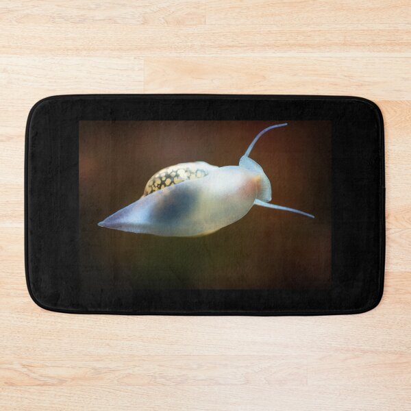 Item preview, Physidae snail, bladder snails, family of air breathing freshwater snails, aquatic pulmonate gastropod molluscs. Aquascaping Animal macro close up photography with a focus gradient, soft background. designed and sold by Marcin Adrian.