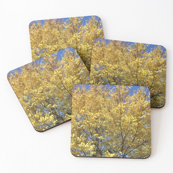 Item preview, Beech tree in Fall.... designed and sold by DonnaMoore.