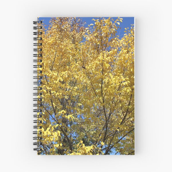 Item preview, Beech tree in Fall.... designed and sold by DonnaMoore.