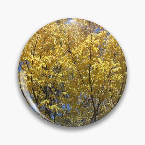 Item preview, Beech tree in Fall.... designed and sold by DonnaMoore.