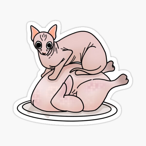 Chicken Cat Sticker