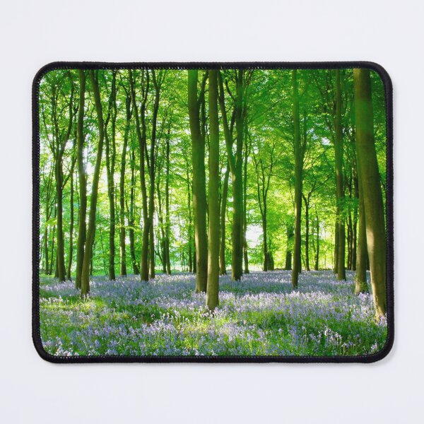 Item preview, Digital Photograph of bluebell Woodland designed and sold by SimonJohnson1.