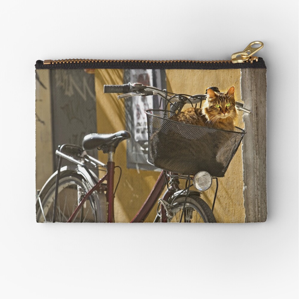 cat bicycle basket