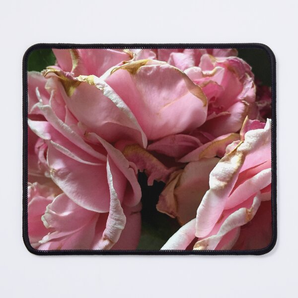 Item preview, Everything fades - Color version from A Gardener's Notebook designed and sold by Douglas E. Welch Design and Photography.