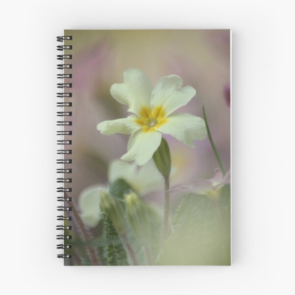 Item preview, Digital Photograph of Primrose Flower designed and sold by SimonJohnson1.
