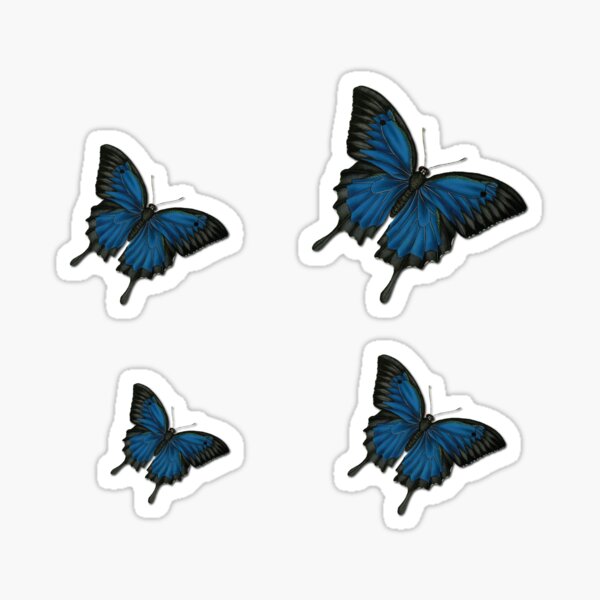 2500PCS Scrapbook Stickers Book Cute Butterfly Stars Heart Letter Stic –  k-beautyvelvet