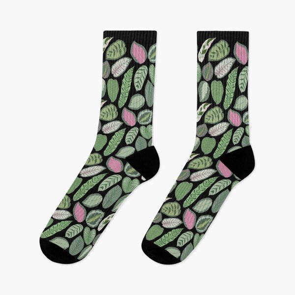 Item preview, Prayer Plant Calathea Pattern designed and sold by TASORA.