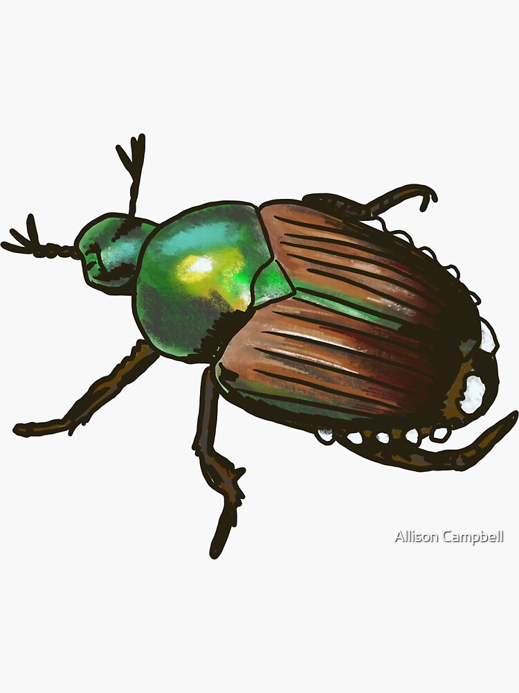 “Japanese Beetle " Sticker for Sale by shehitsback | Redbubble