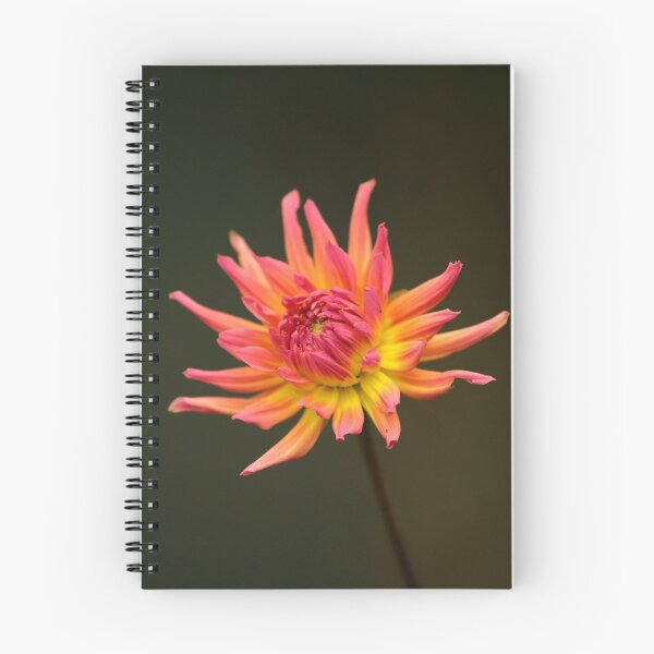 Item preview, digital photograph of dahlia Flower designed and sold by SimonJohnson1.