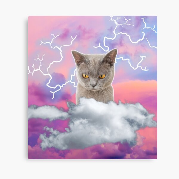 Cat Shooting Lightning Canvas Prints for Sale | Redbubble