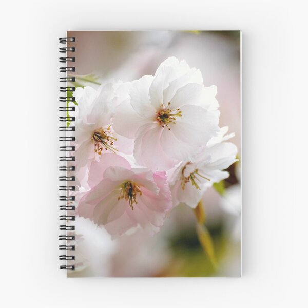 Item preview, Digital Photograph of Spring  Blossom designed and sold by SimonJohnson1.