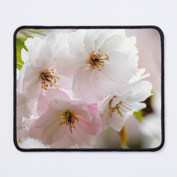 Item preview, Digital Photograph of Spring Blossom designed and sold by SimonJohnson1.
