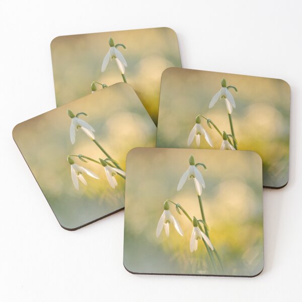 Item preview, Digital Photograph of Snowdrops designed and sold by SimonJohnson1.