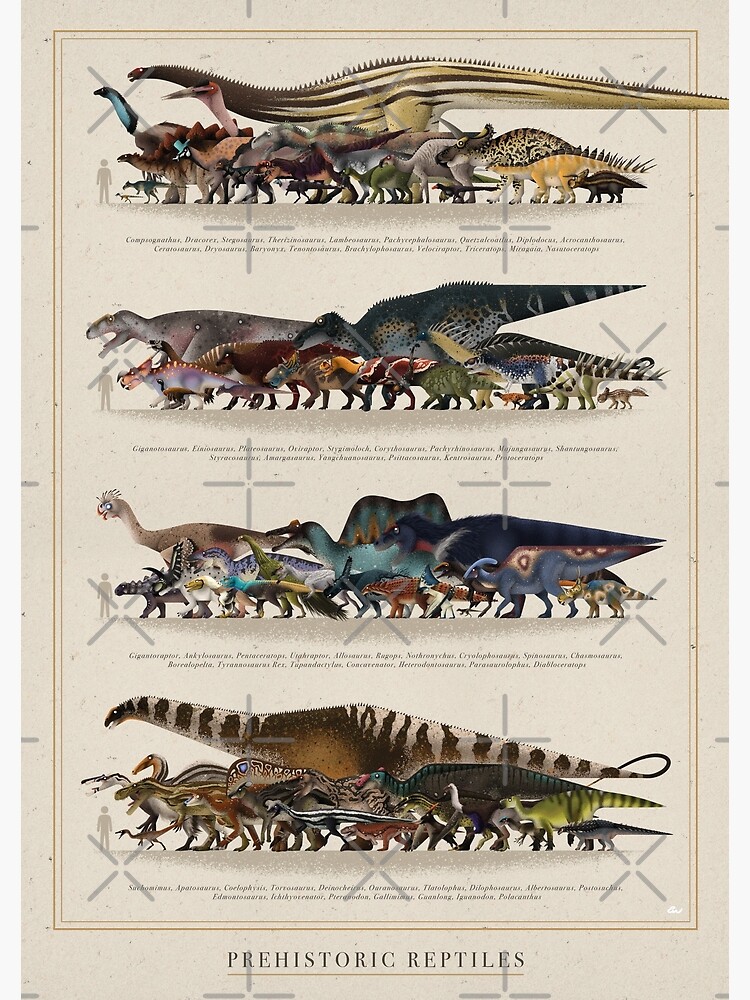 Prehistoric Reptiles Size Chart Premium Matte Vertical Poster Designed ...