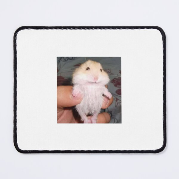 Onglydoople Belyflop Think He's Smiling Mouse Pad
