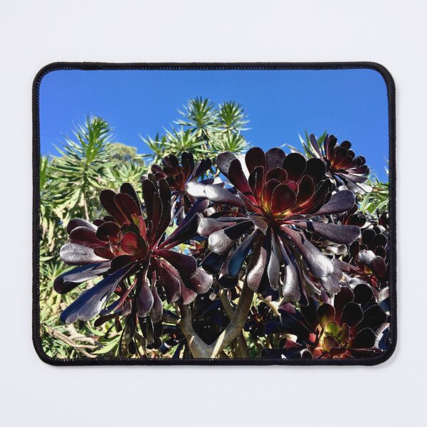 Item preview, Vibrant plants against the bluest sky designed and sold by smh2.