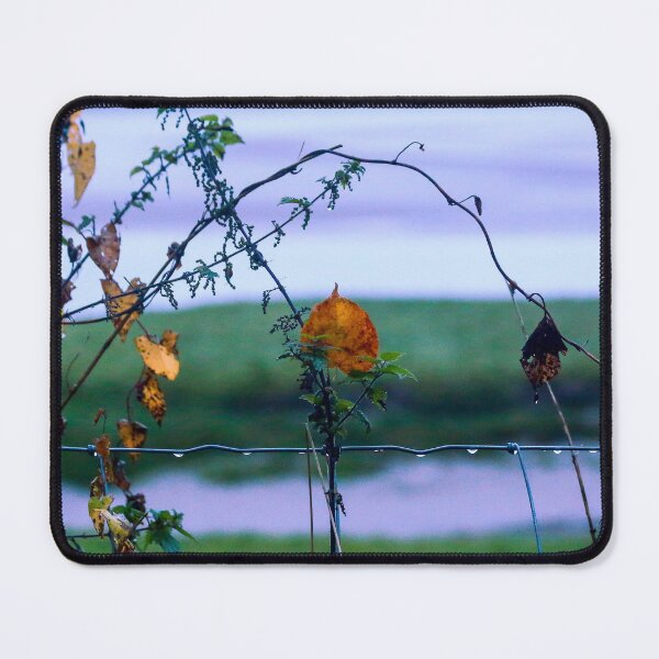 Item preview, Looking  - A View designed and sold by Carl Gaynor.