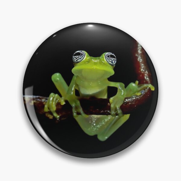 Item preview, Ghost Glass Frog designed and sold by mlorenz.