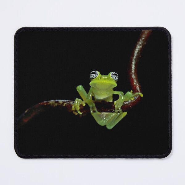 Item preview, Ghost Glass Frog designed and sold by mlorenz.