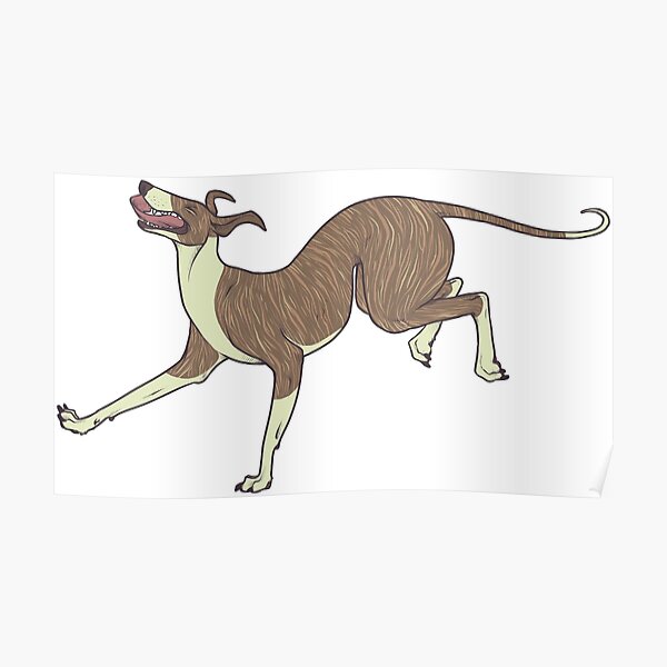 Prancing Greyhound - Brindle Poster