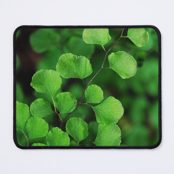 Fern Mouse Pad