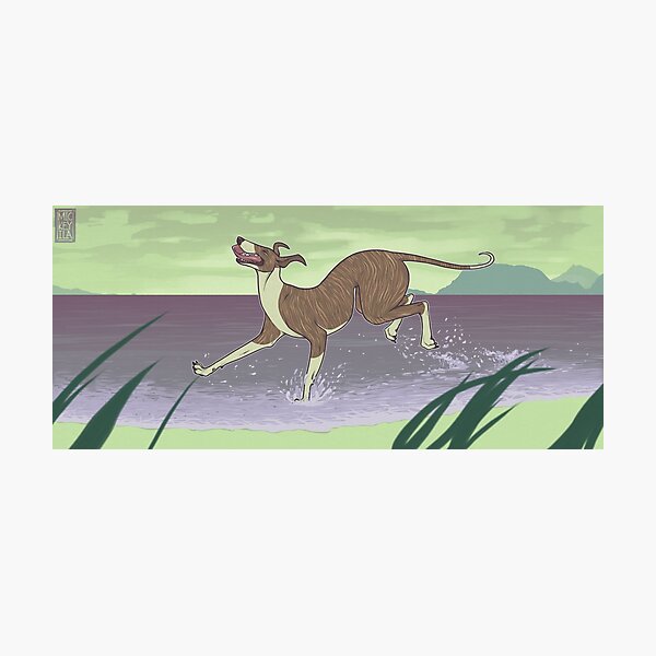 Happy Prancing Greyhound Photographic Print