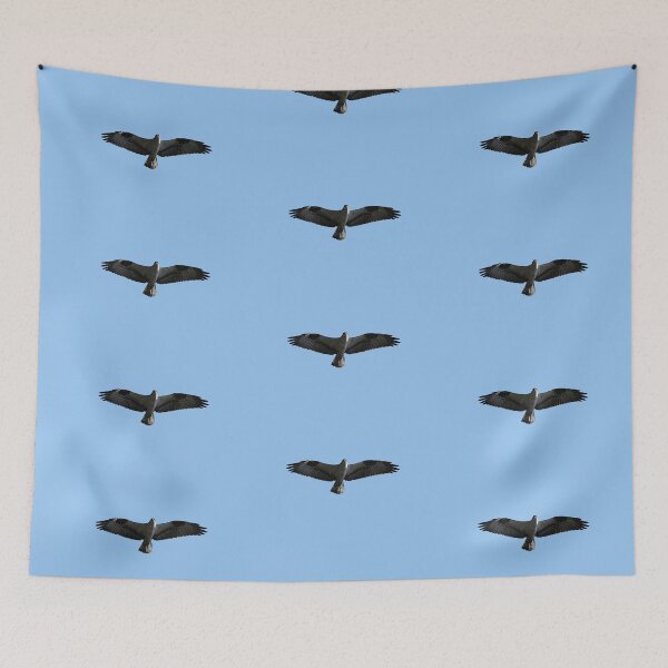 Item preview, Bird of prey - Osprey in flight designed and sold by Zina Stromberg.