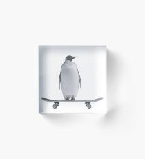 Penguin Skateboard Acrylic Block