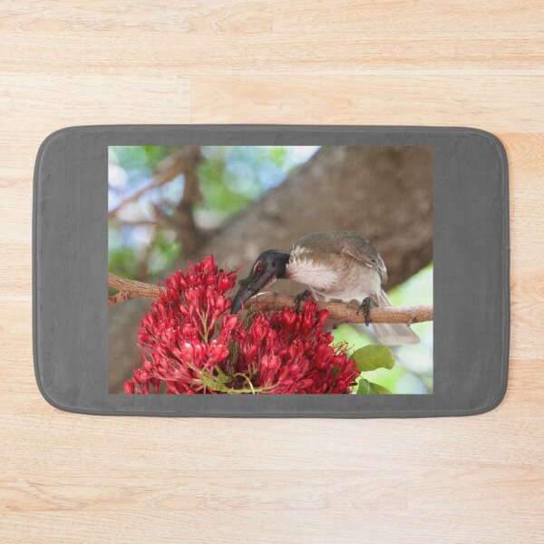 Item preview, Noisy Friarbird  designed and sold by MargsNaturePix.