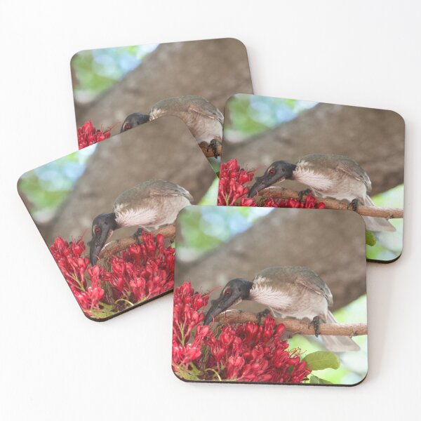 Item preview, Noisy Friarbird  designed and sold by MargsNaturePix.